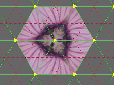 p1 fundamental domain